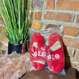 Delta Sigma Theta Slippers